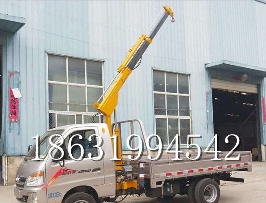 富宁县车载吊机起重升降机出租12/24V车载吊车载吊机车载吊机移动悬臂吊